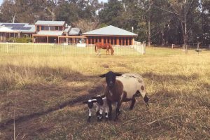 Contact Waymount Farm - Rural Holiday Retreat