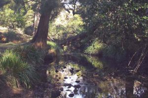 Waymount Farm - The Grounds 05